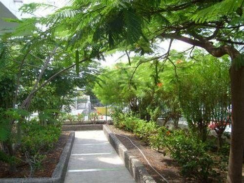 Outdoor Pictures 9