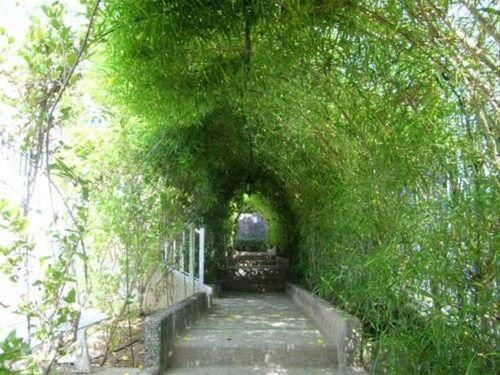 Outdoor Pictures 10