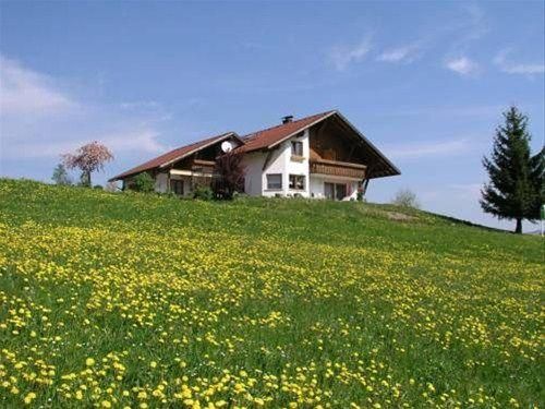 Outdoor Pictures 21