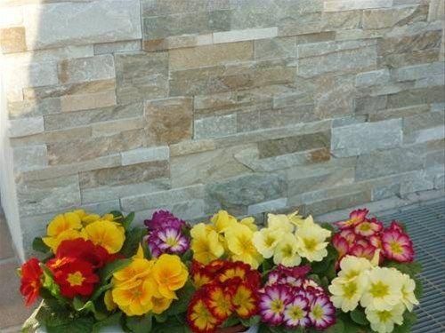 Outdoor Pictures 16