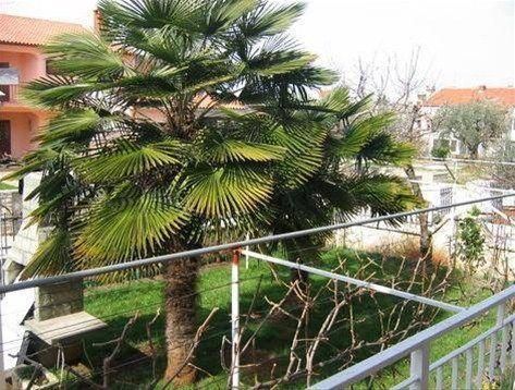 Outdoor Pictures 12