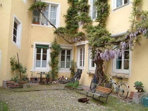 Outdoor Pictures 11