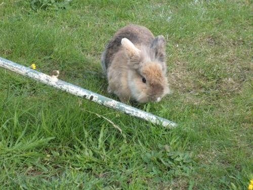 Outdoor Pictures 15