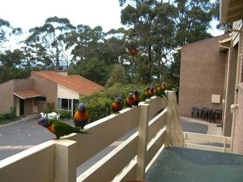 MERIMBULA MOTOR LODGE