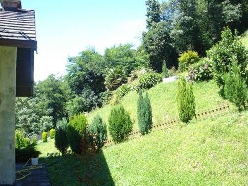 Outdoor Pictures 17