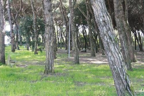 Outdoor Pictures 11