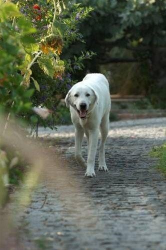 Outdoor Pictures 20