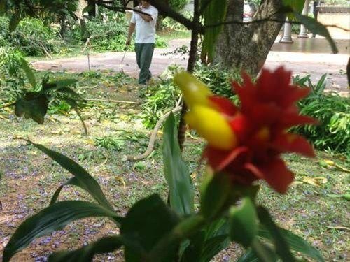 Outdoor Pictures 12