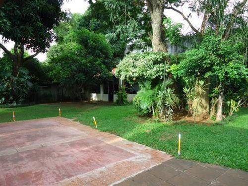 Outdoor Pictures 9