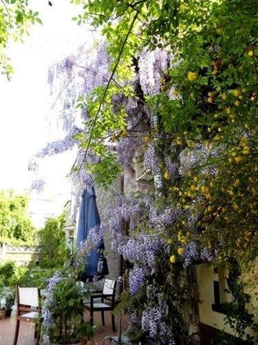 Outdoor Pictures 11