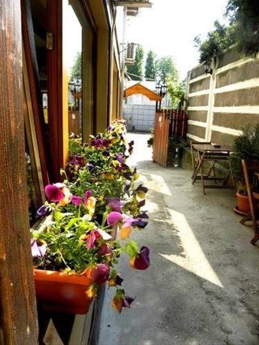 Outdoor Pictures 13