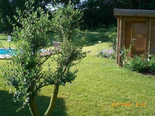 Outdoor Pictures 18