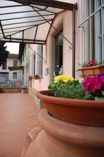 Outdoor Pictures 20
