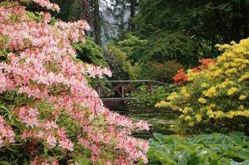 Outdoor Pictures 20