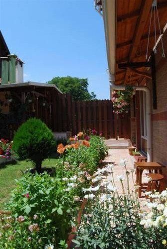 Outdoor Pictures 16