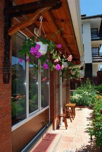 Outdoor Pictures 17