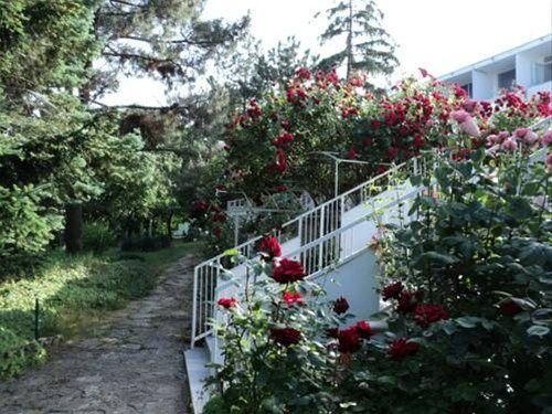 Outdoor Pictures 18