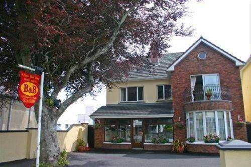 A Copper Beech House