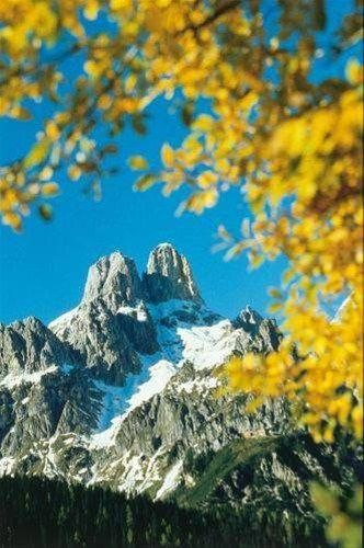 Outdoor Pictures 13