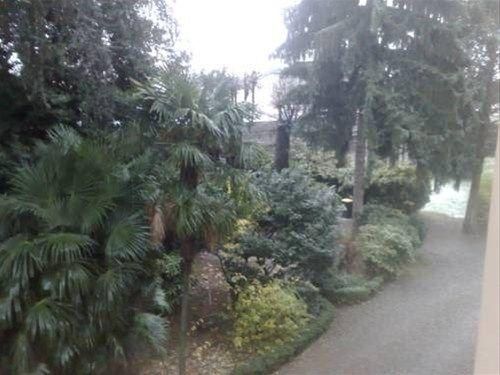 Outdoor Pictures 12