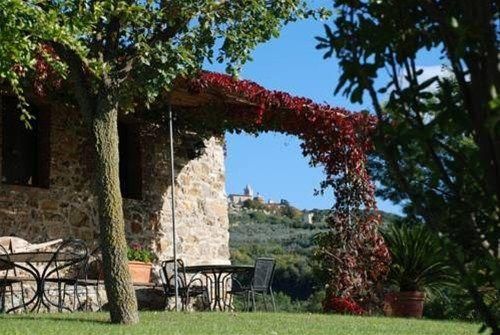 Outdoor Pictures 24