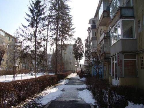 Outdoor Pictures 15
