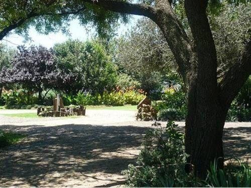 Outdoor Pictures 1