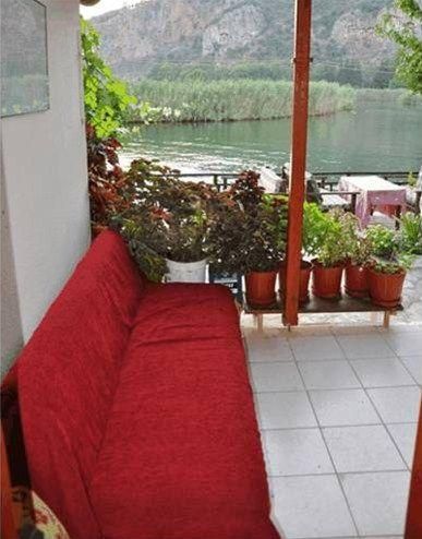 Outdoor Pictures 11