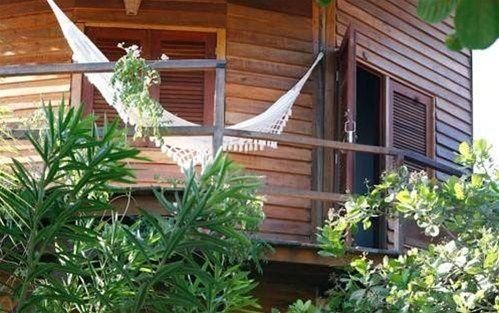 Outdoor Pictures 24