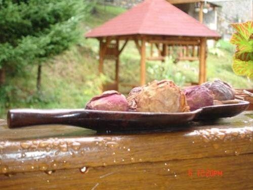 Outdoor Pictures 12