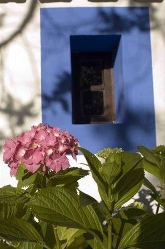 Outdoor Pictures 13