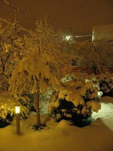 Outdoor Pictures 21