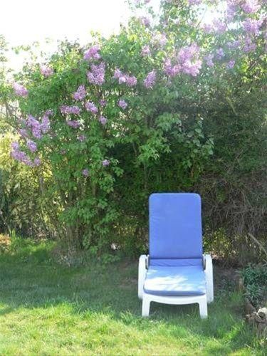 Outdoor Pictures 10