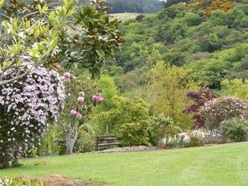 Outdoor Pictures 8
