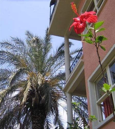 Outdoor Pictures 1