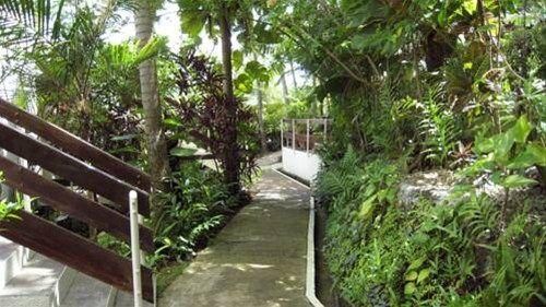 Outdoor Pictures 15