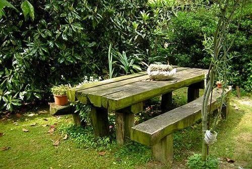 Outdoor Pictures 20