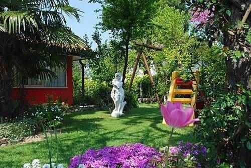 Outdoor Pictures 21