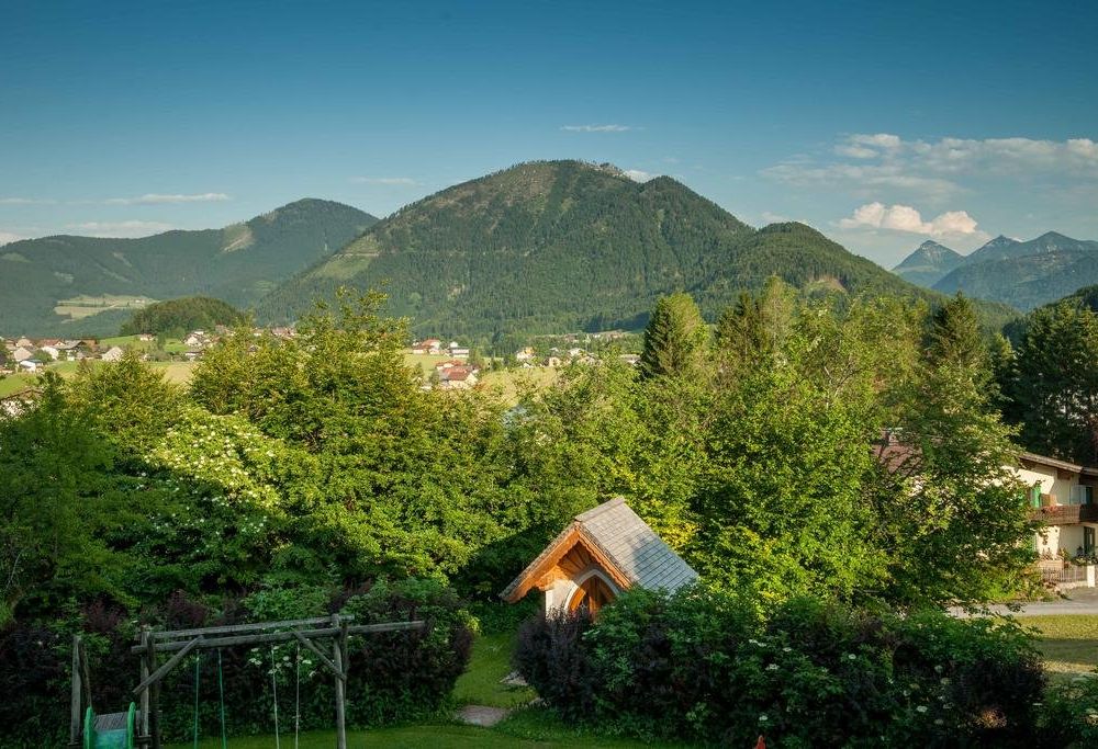 Outdoor Pictures 24