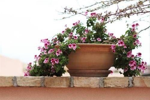 Outdoor Pictures 20