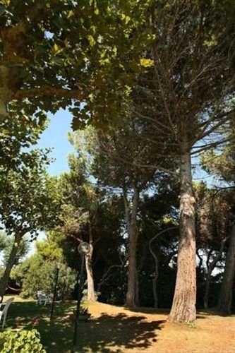 Outdoor Pictures 24