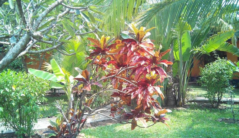 Outdoor Pictures 9