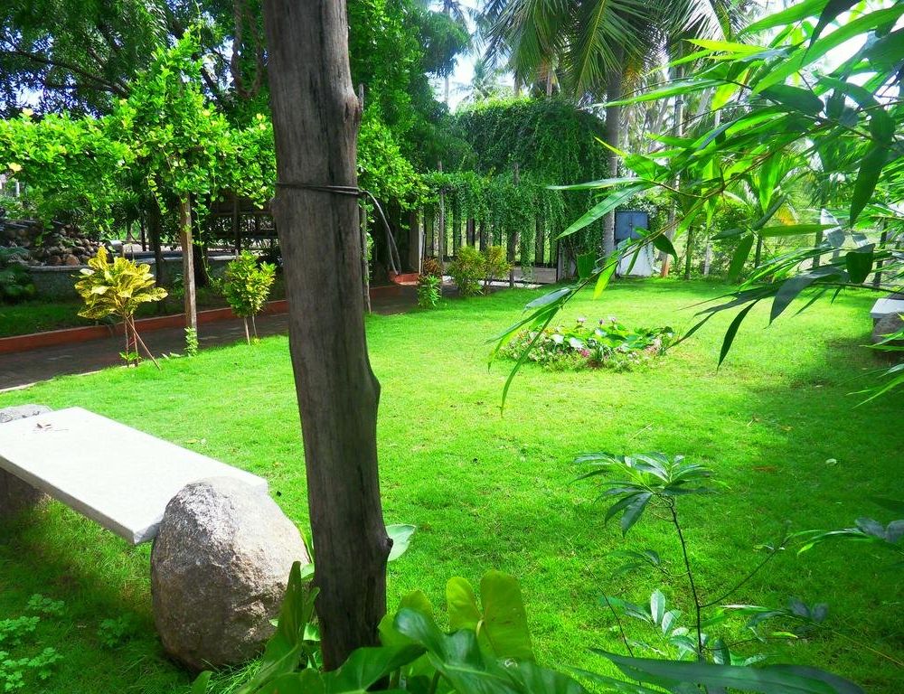 Outdoor Pictures 17