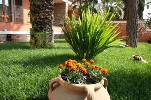 Outdoor Pictures 21