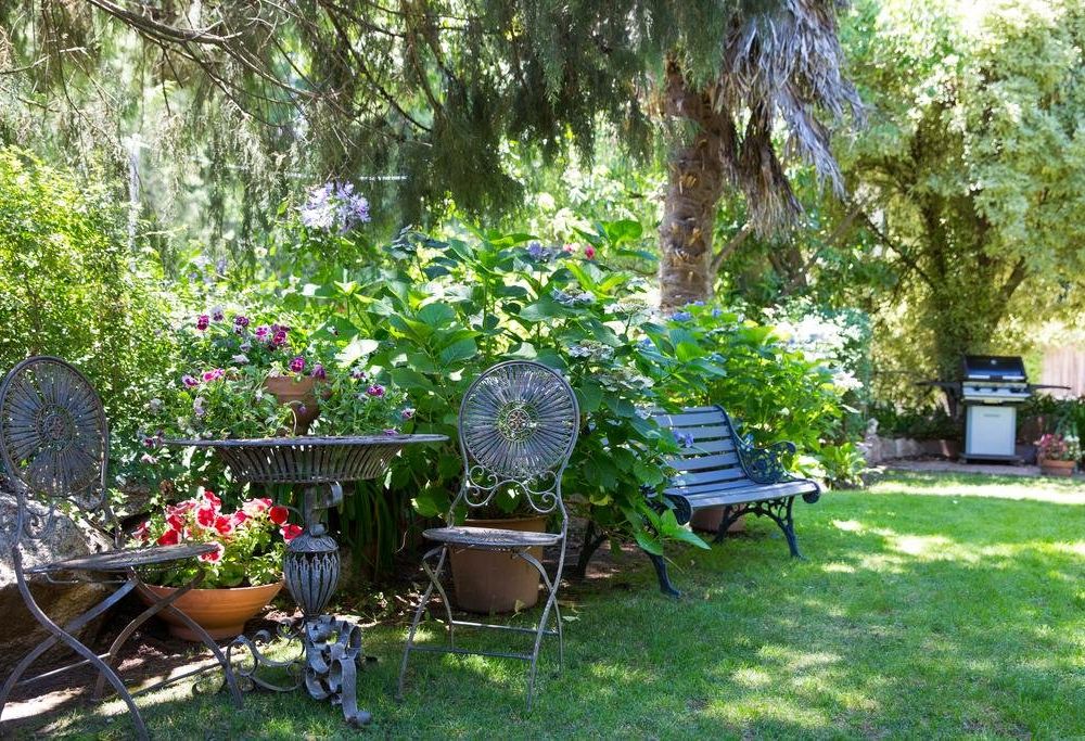 Outdoor Pictures 16