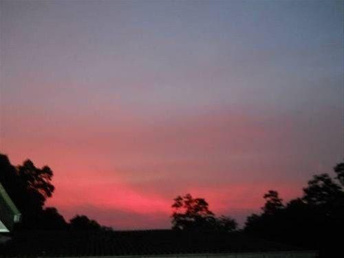 Outdoor Pictures 21