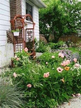 Outdoor Pictures 22