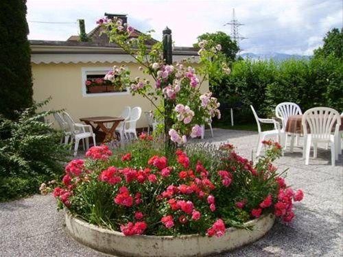 Outdoor Pictures 11