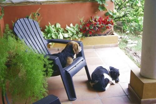 Outdoor Pictures 7