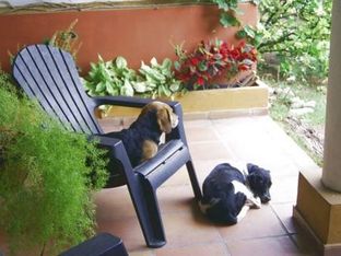 Hotel Image 6
